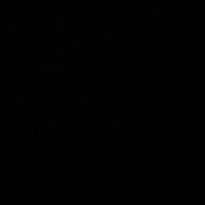 Meet your Posher, Maryann